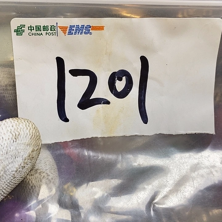 【***6最美古村专属链接