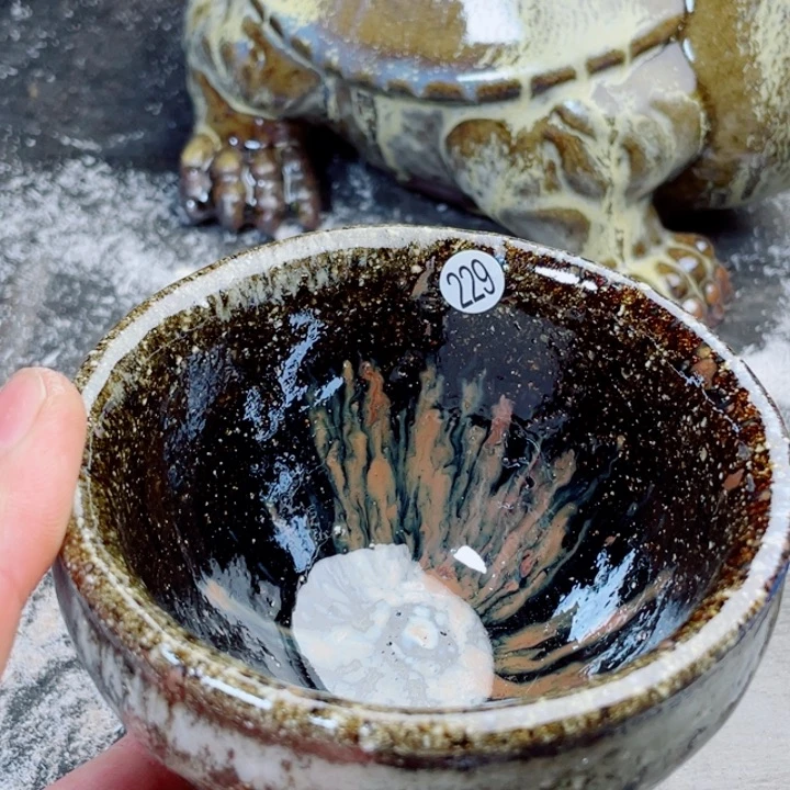 茶宠盏盏灯都是我的错了我