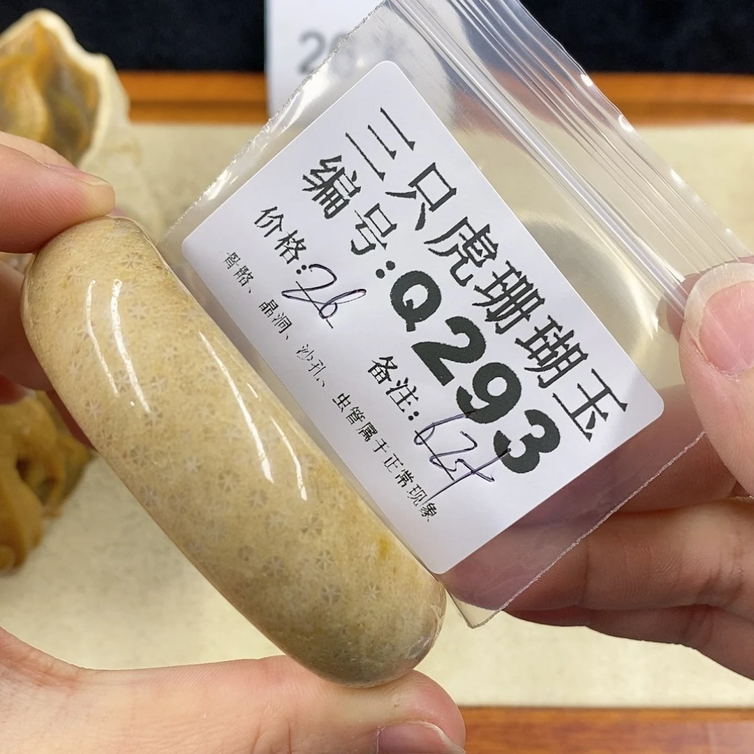 硅化珊瑚（珊瑚玉）1未镶嵌星****︴