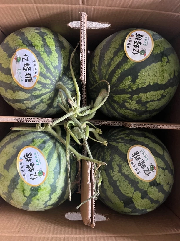 亿蜂糖无籽麒麟西瓜（一颗）呼包鄂顺丰包邮