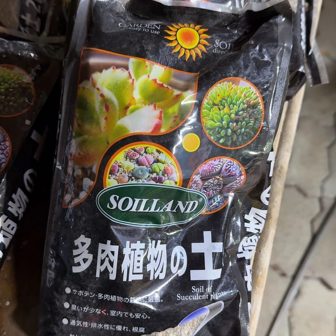 下播土多肉植物精品