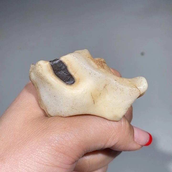 玛瑙/玉髓车挂合金行**在419