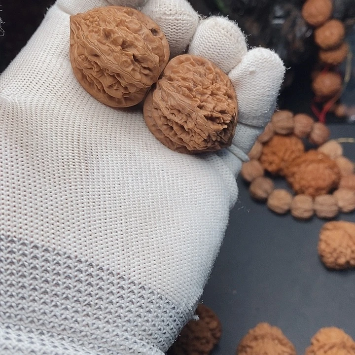 把件文玩核桃秦岭野生龙旦