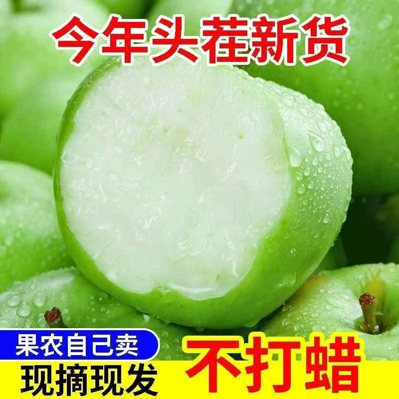 紫玉环【25年新果】现摘新鲜青苹果新苹果孕妇水果酸甜可口2/4/8斤