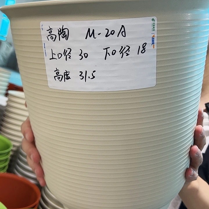 正品高陶口30高31米色无托3只