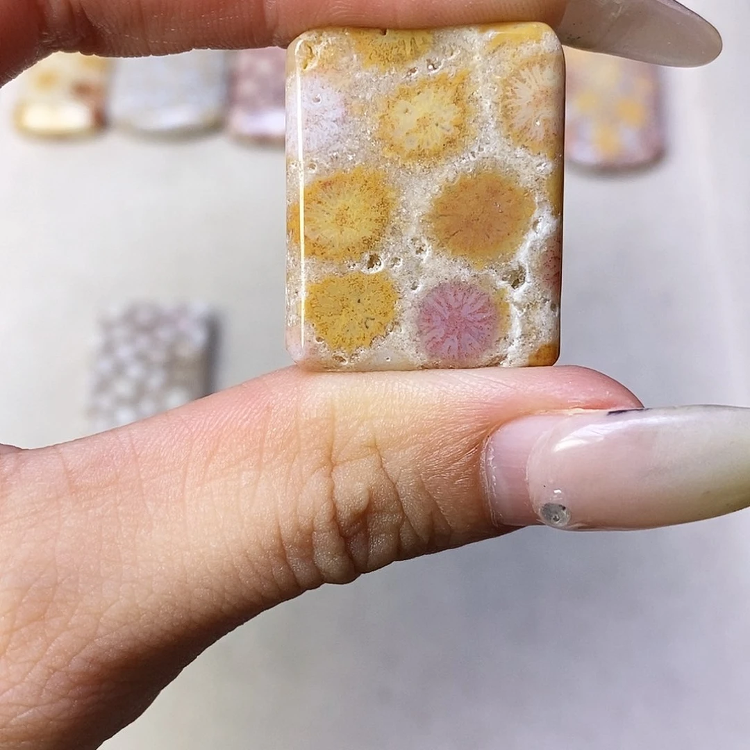 查罗石合金颈饰别****✨
