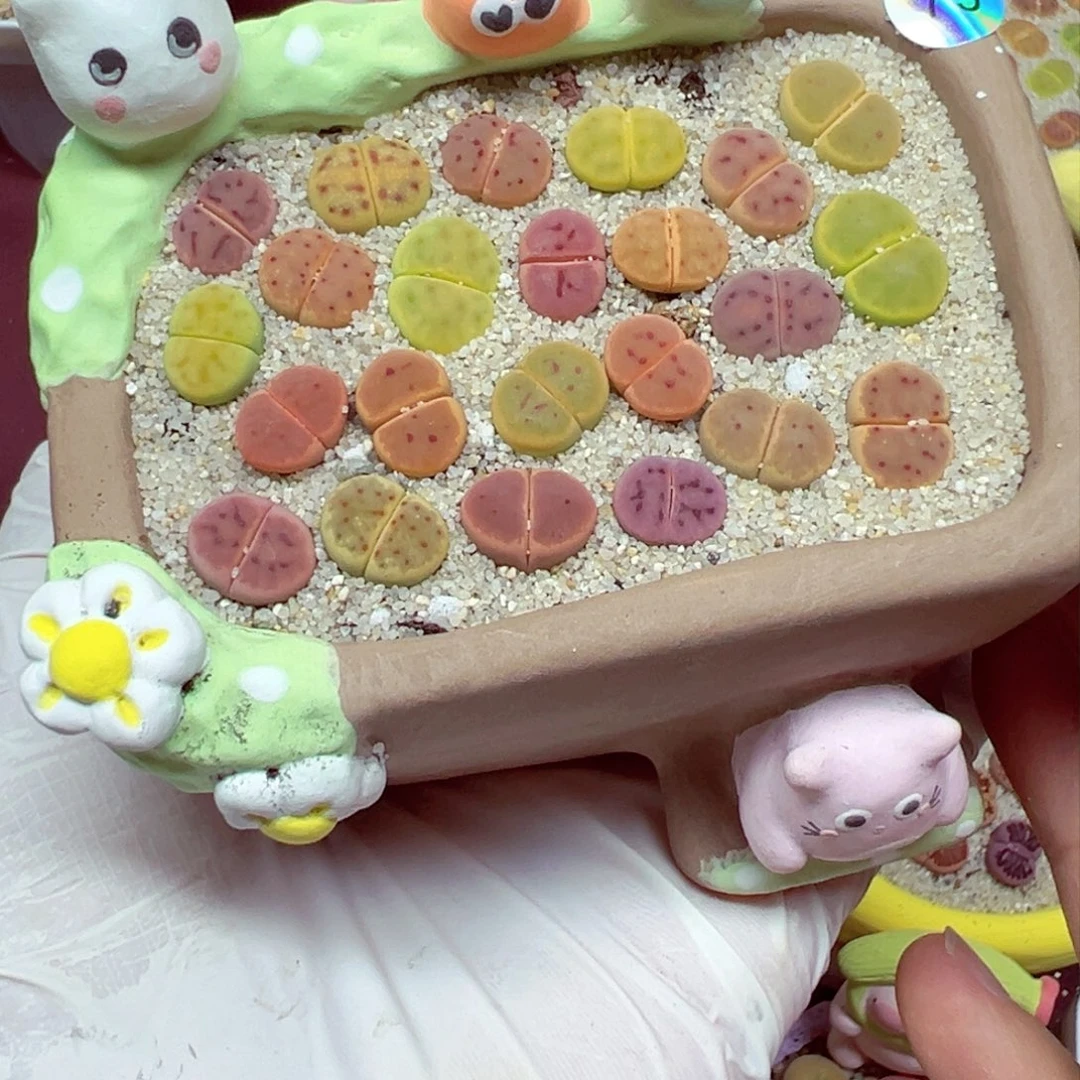 嘻*?415-79优秀的整盆