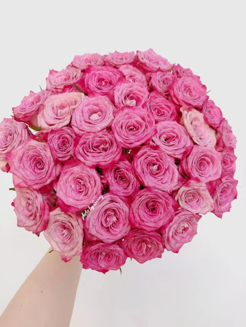 【花花公子多头玫瑰鲜花】  收到花要醒花~云南鲜花批发 一单包邮