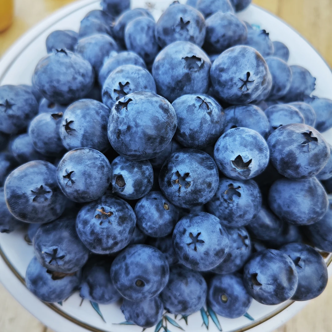 【净重2斤】XG露天头茬蓝莓当季现摘现发孕妈宝宝即食水果 顺丰包邮