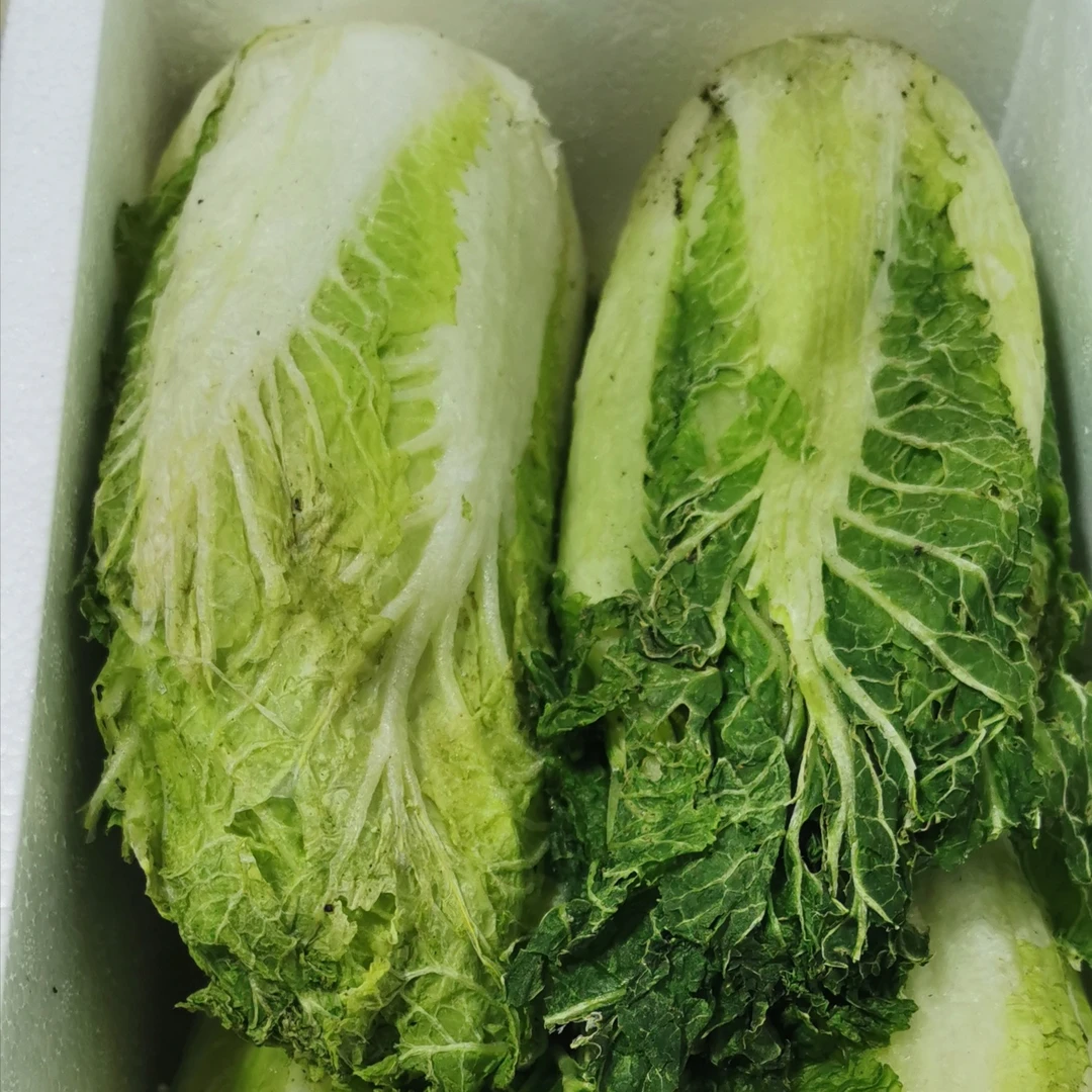 冻白菜，农家院特产，一箱五斤，