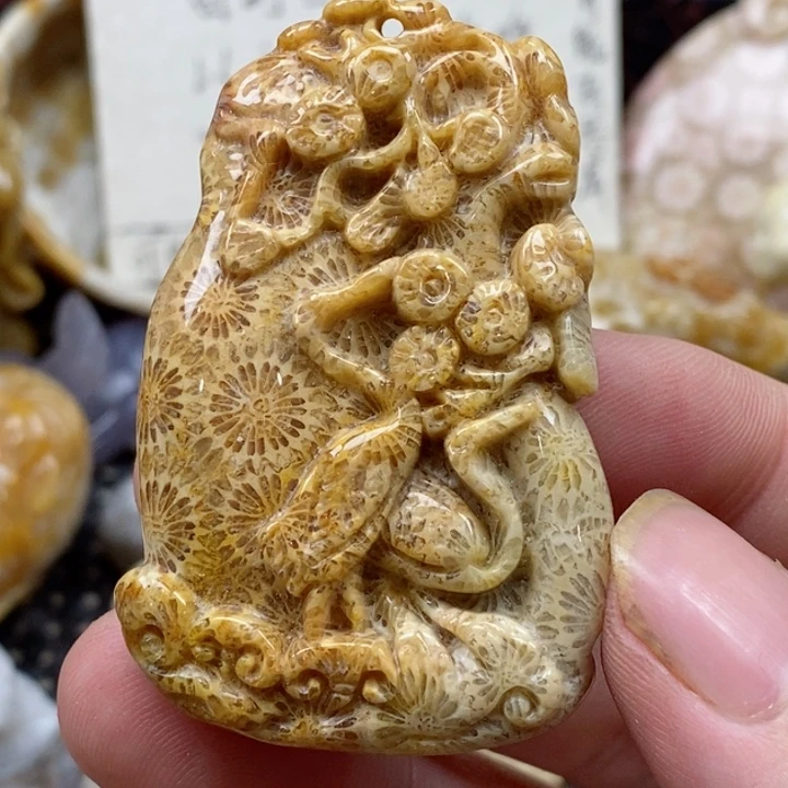 颈饰未镶嵌硅化珊瑚（珊瑚玉）