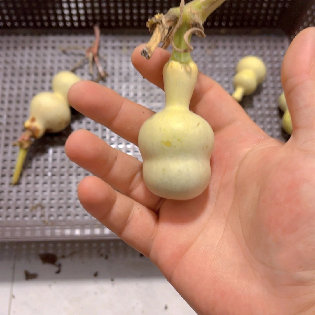 默***语感谢大哥支持兄弟不保