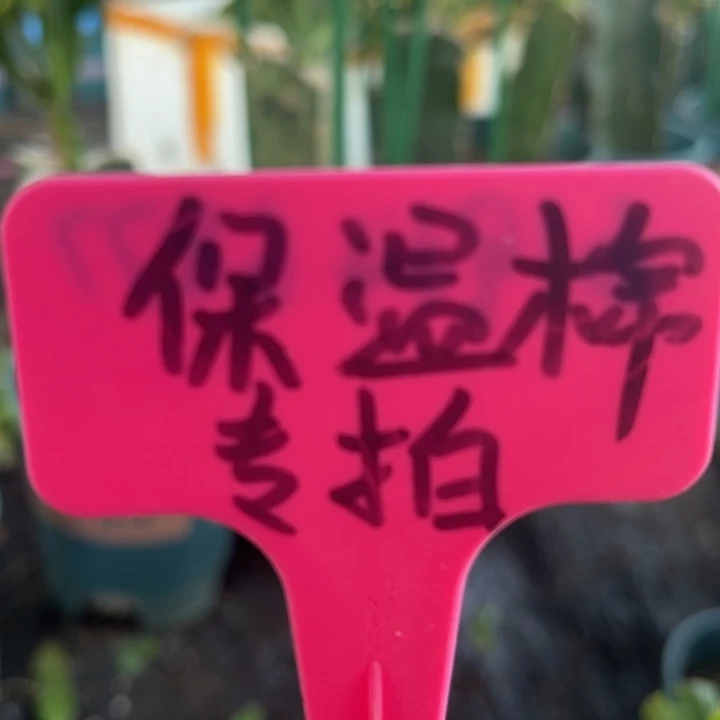 零下五度加拍保温棉