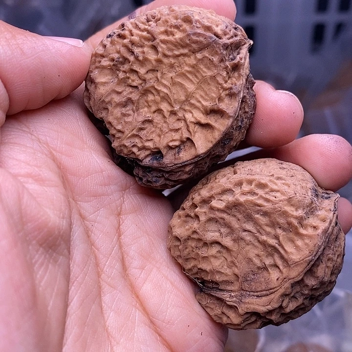 文玩核桃把件   130