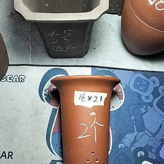 小红兰花两个微瑕