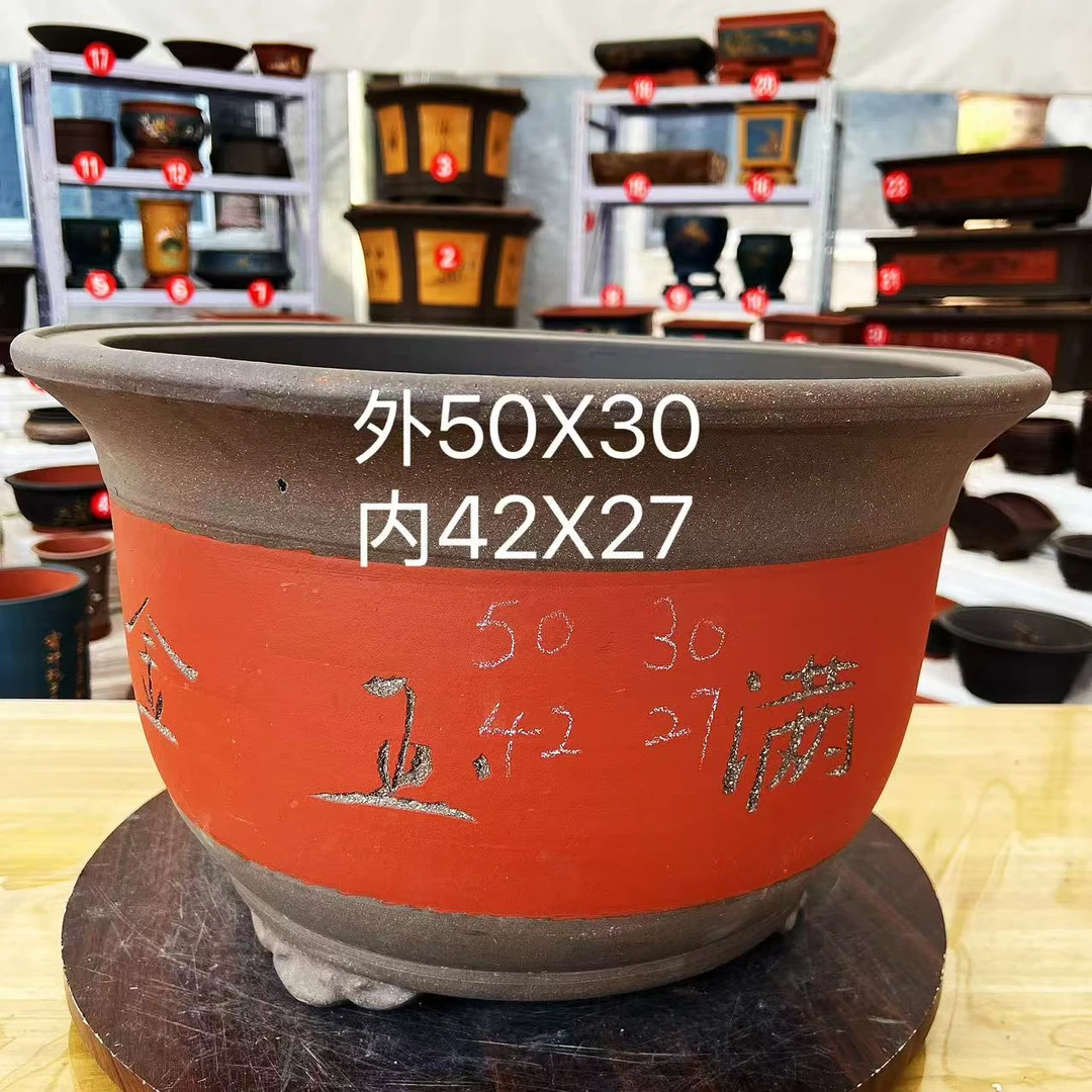 精修金玉满堂50大福缸花卉绿植飘枝老桩盆景造型盆艺紫砂花盆