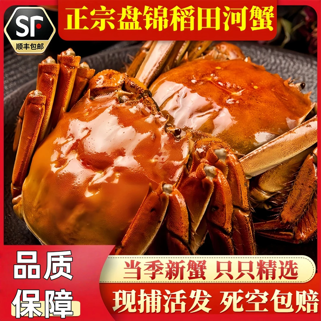 【活蟹】母蟹0.9-1.2两12只/公蟹1-1.3两12只（到手24只顺丰死蟹包赔