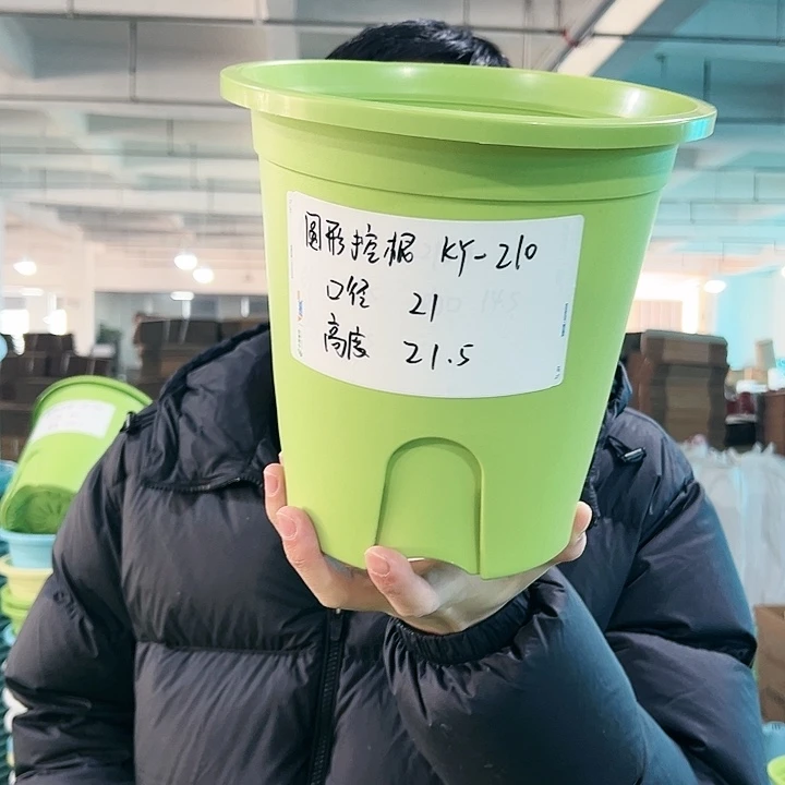 正品圆控口21高21果绿无托8只