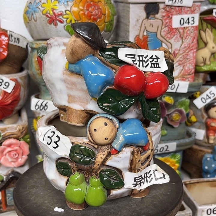 粗陶材质多肉花盆