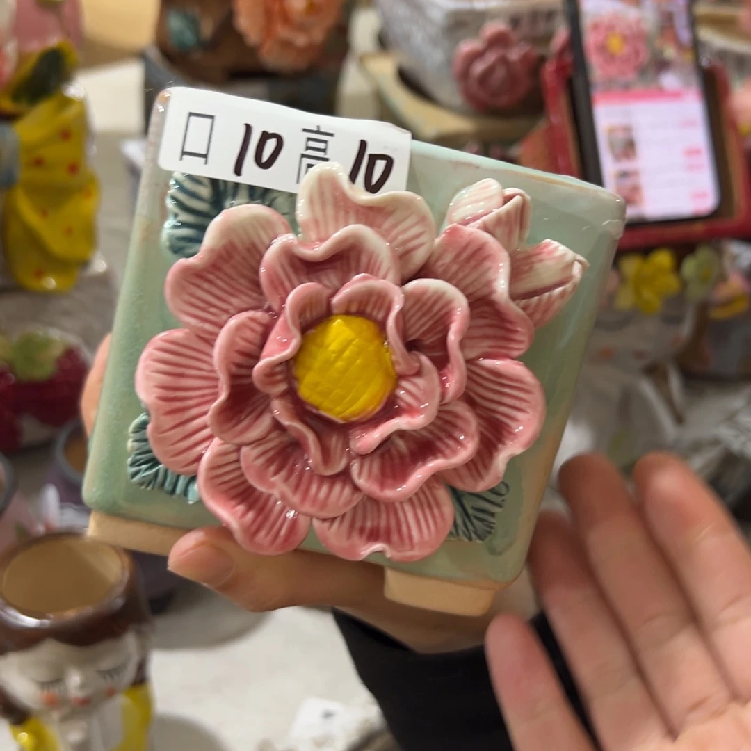 花盆，拍满20发货，退款拉黑