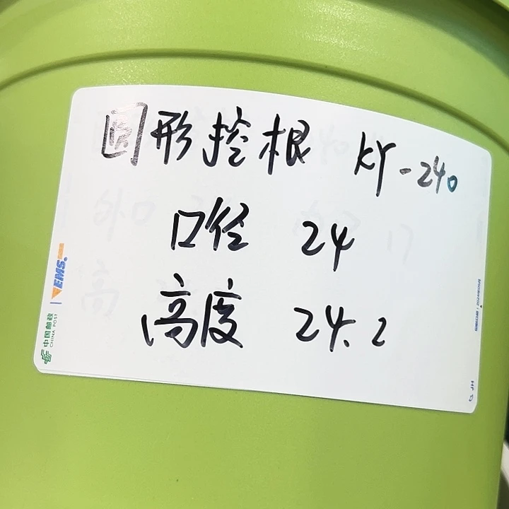正品圆控口24高24果绿无托8只