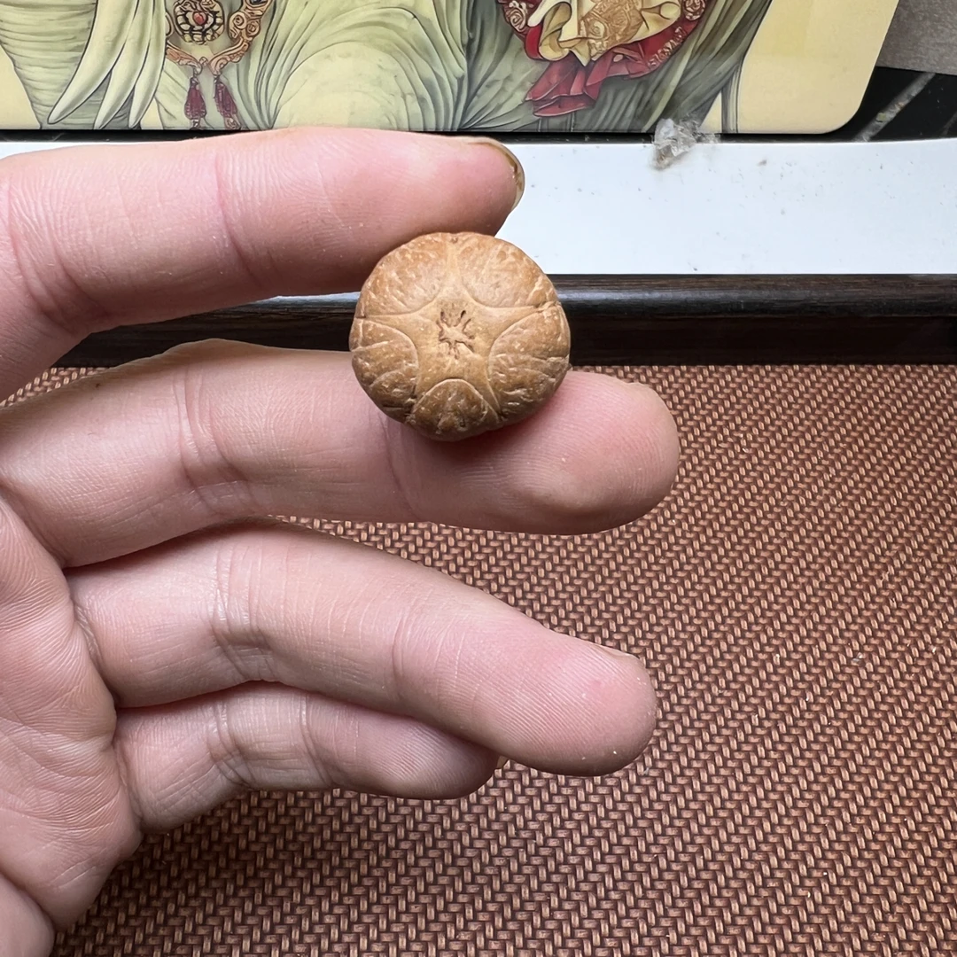 极品尼泊尔五星上将