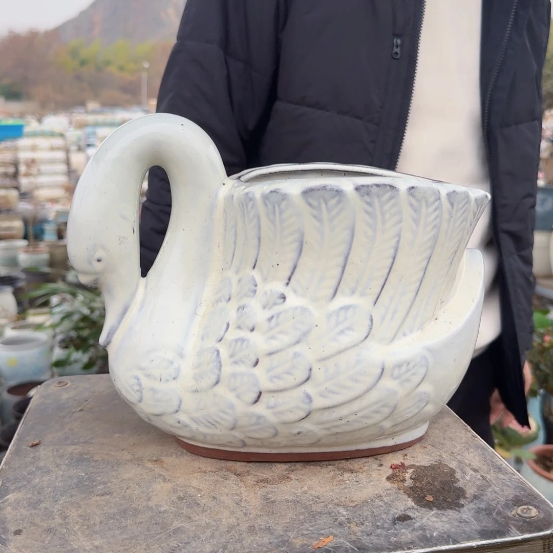 紫砂花盆鹅白色一个一个
