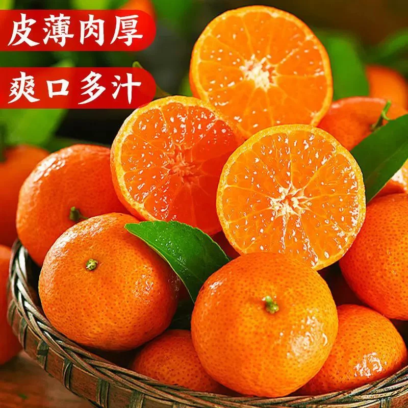 《小军严选》砂糖桔 广西沙糖桔净果5斤左右 包邮柑橘沙糖桔广西壮族自治区广西壮族自治区桂林市