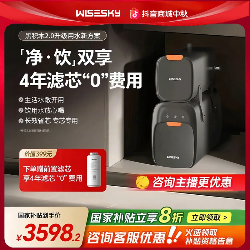 【国补20%】Wisesky黑积木2.0直饮机双出水净水机分体式家用净水器