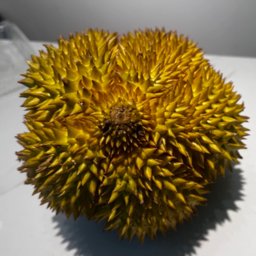 新鲜榴莲鲜果 包售后3000g 核小榴莲同城送金枕泰国