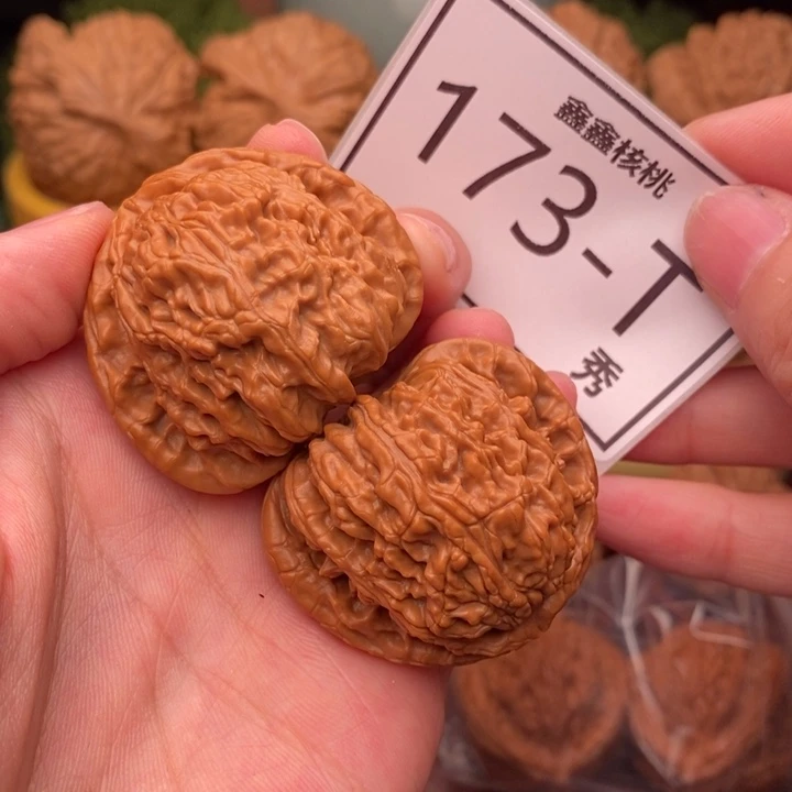 文玩核桃把件白狮41