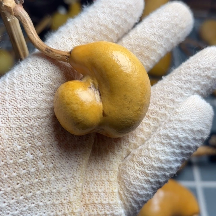 人***3风裂霉点666666666