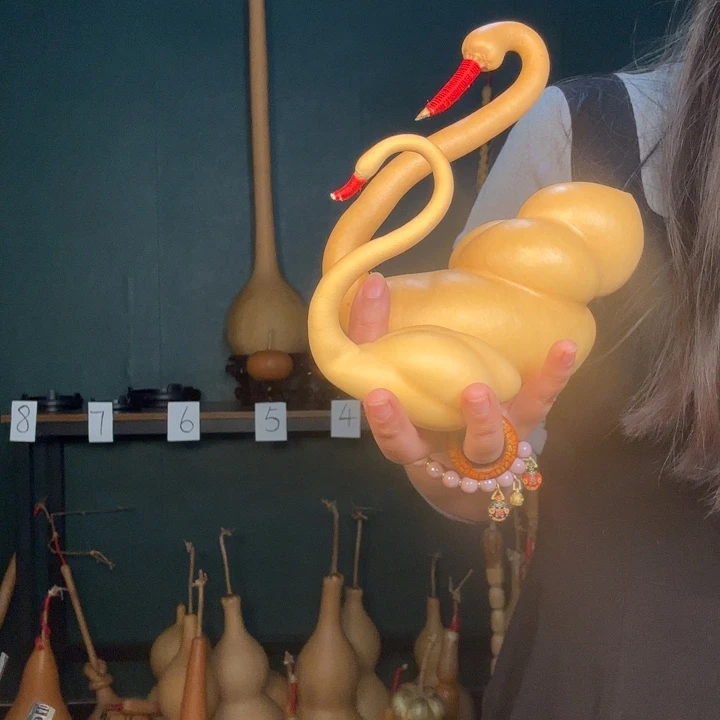 用***0葫芦葫芦花为一大品种或多年生灌木