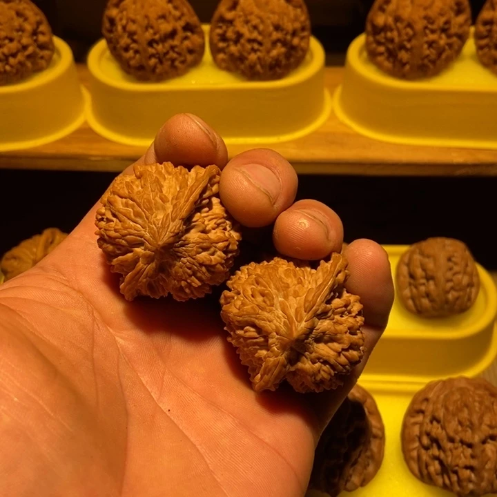 核桃41满天星。。。。