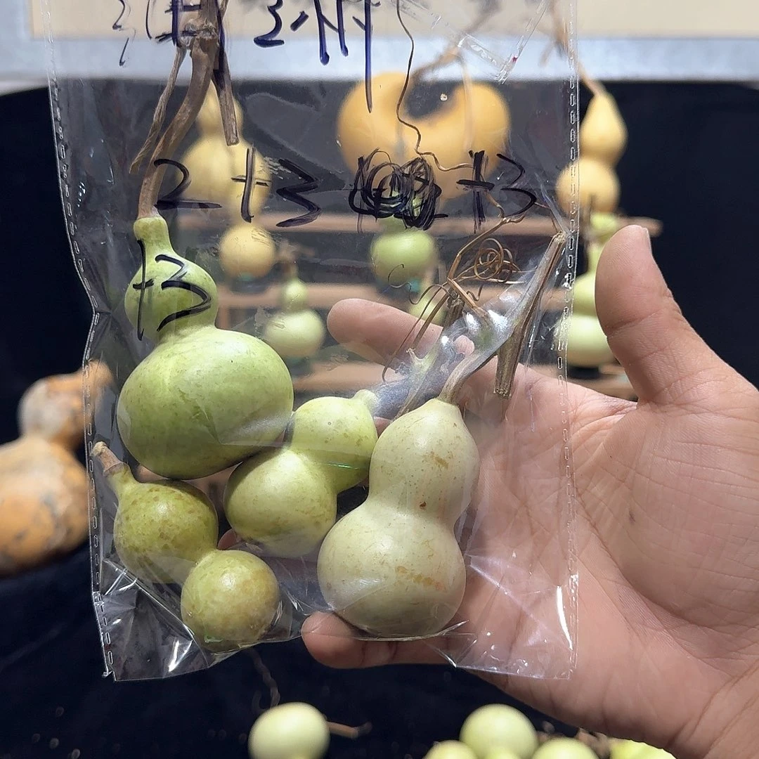 润*定向定向定向定向