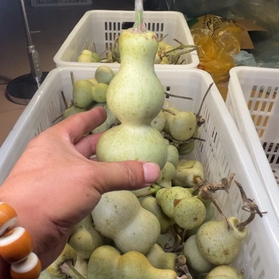 叫***李股清了就好啦啊哈啊哈哈
