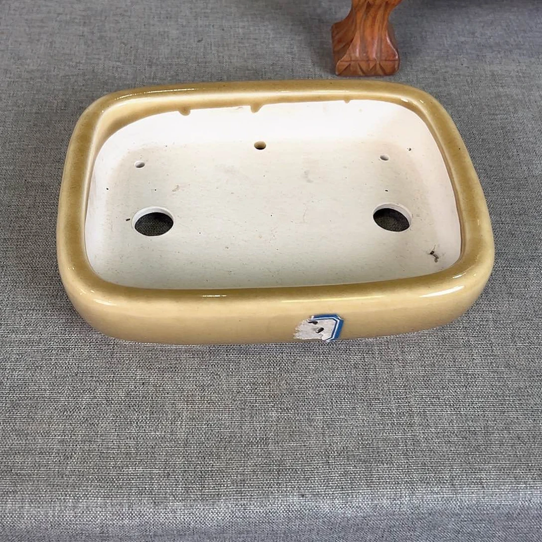 栖***院12580755585554水明釉盆