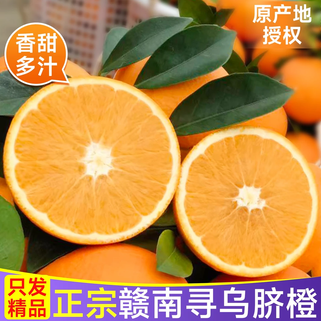 正宗江西赣南脐橙当季新鲜水果10斤现摘手剥橙子正宗江西赣州橙子