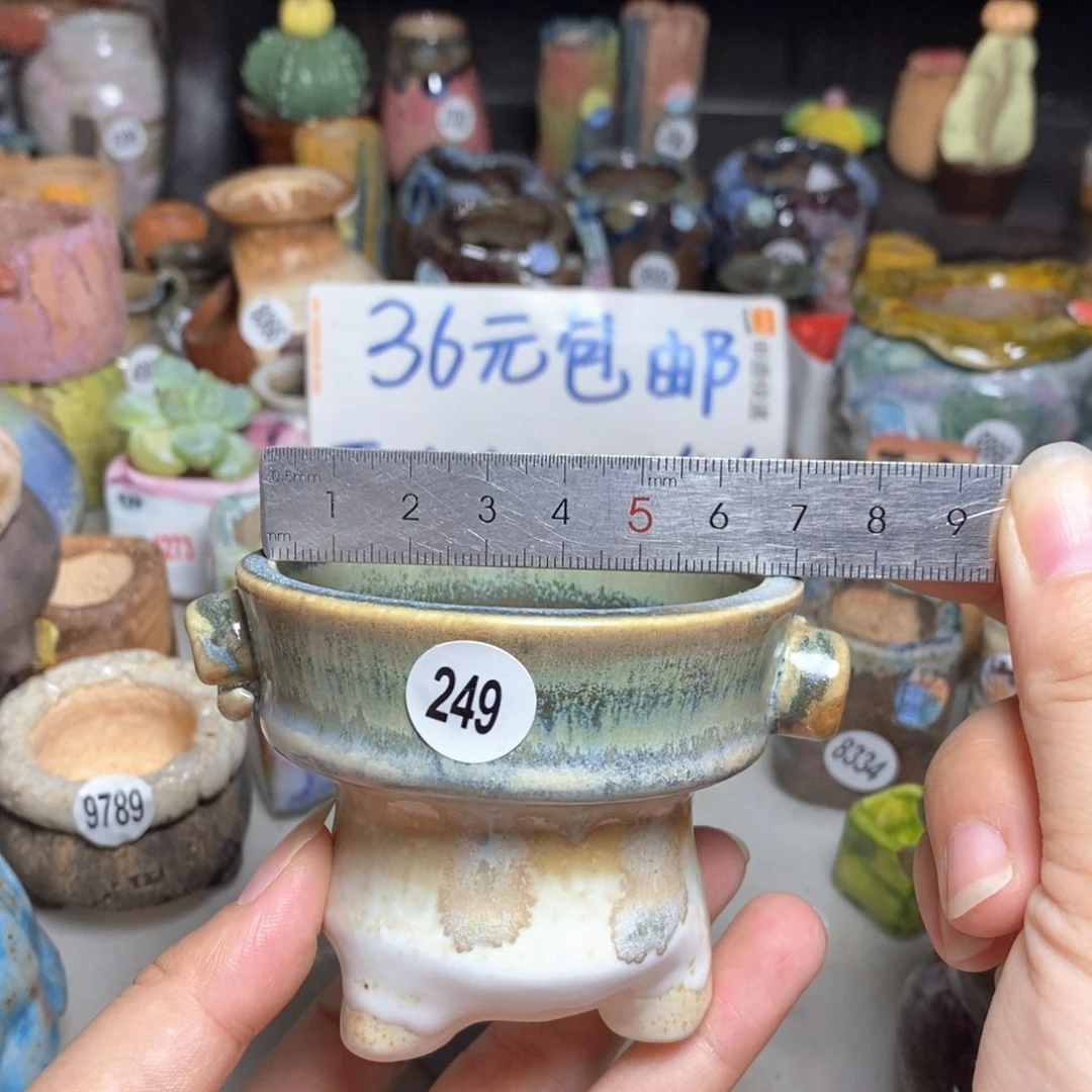 拍5送一个小礼物