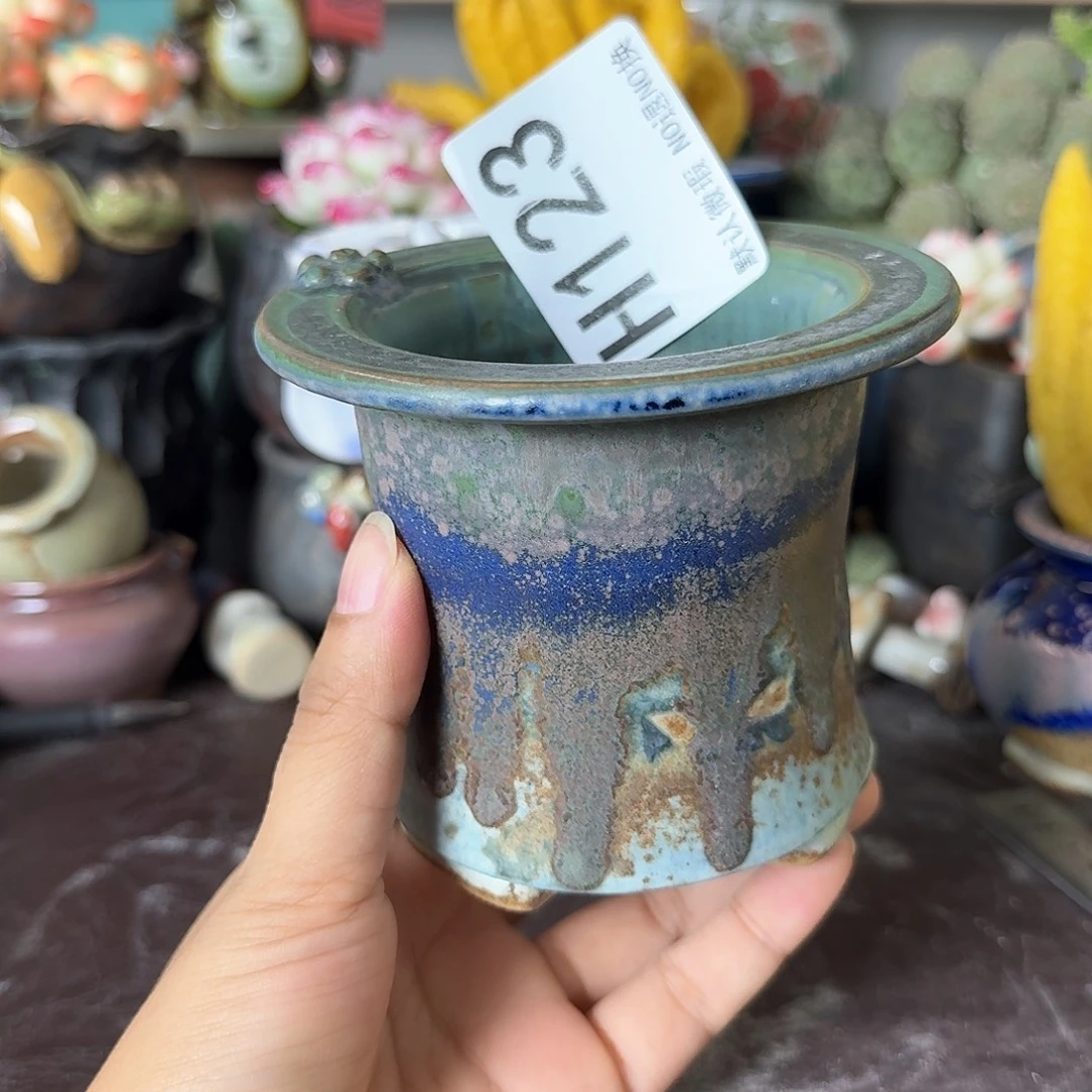 重庆小燕子欢迎大家123