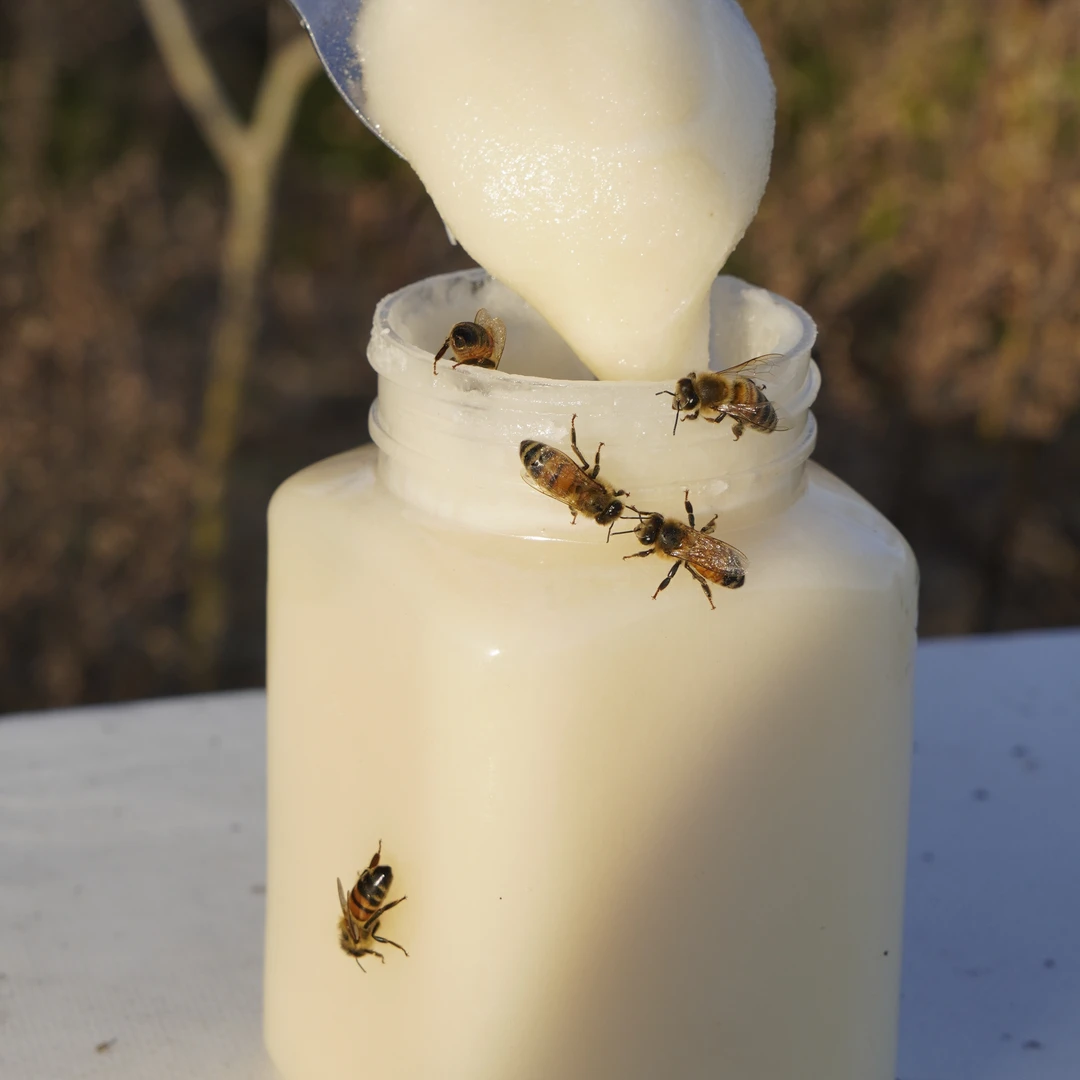 【假一赔万】5斤纯正枇杷雪蜜稀有高原蜂场自然成熟原始健康真蜂蜜