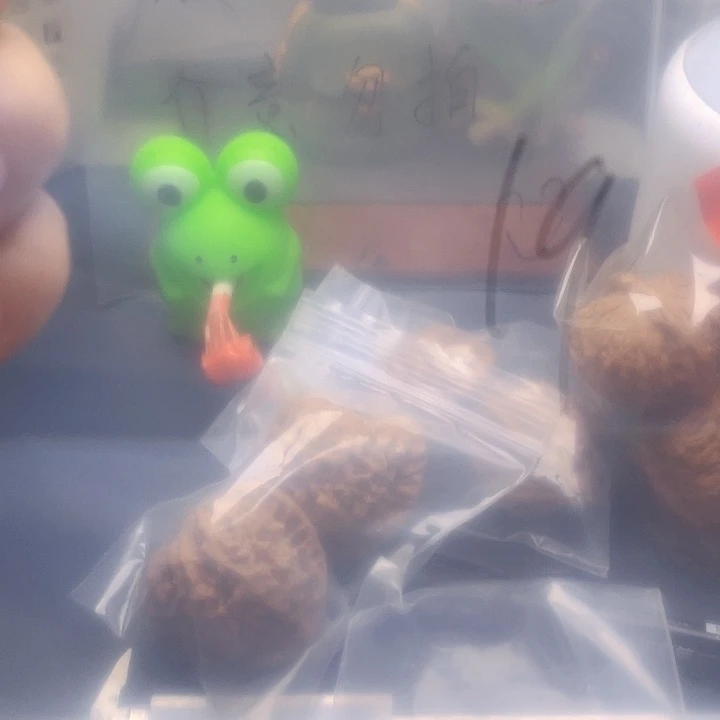 文玩核桃吊坠文玩19