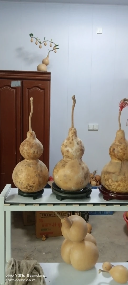 天然花皮大葫芦自然花纹好看不失大雅20-30公分高