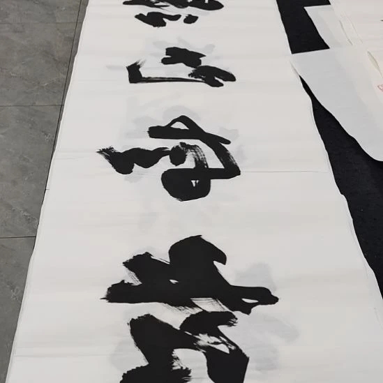 翰墨申国栋老师作品一副