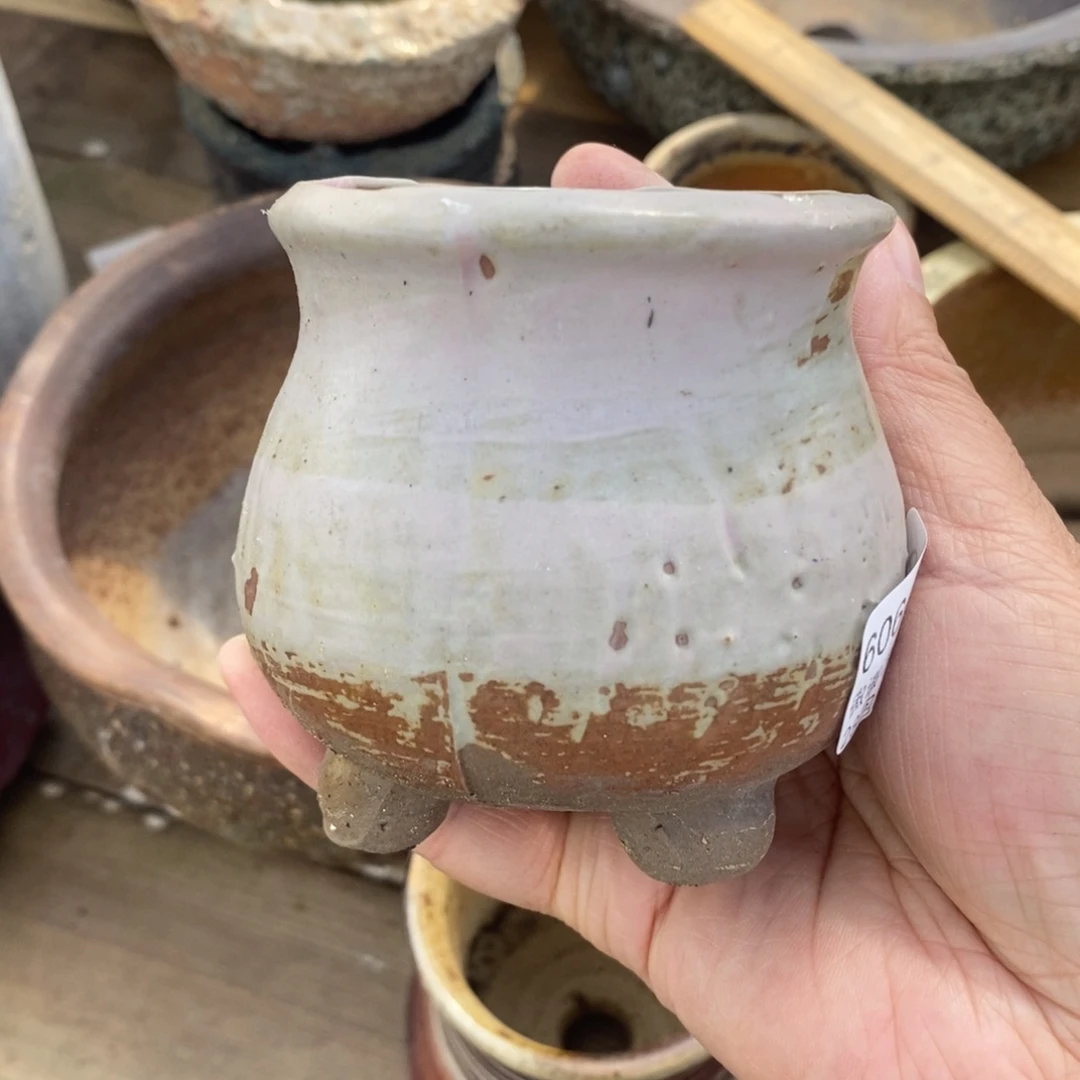 79号多肉盆口径6