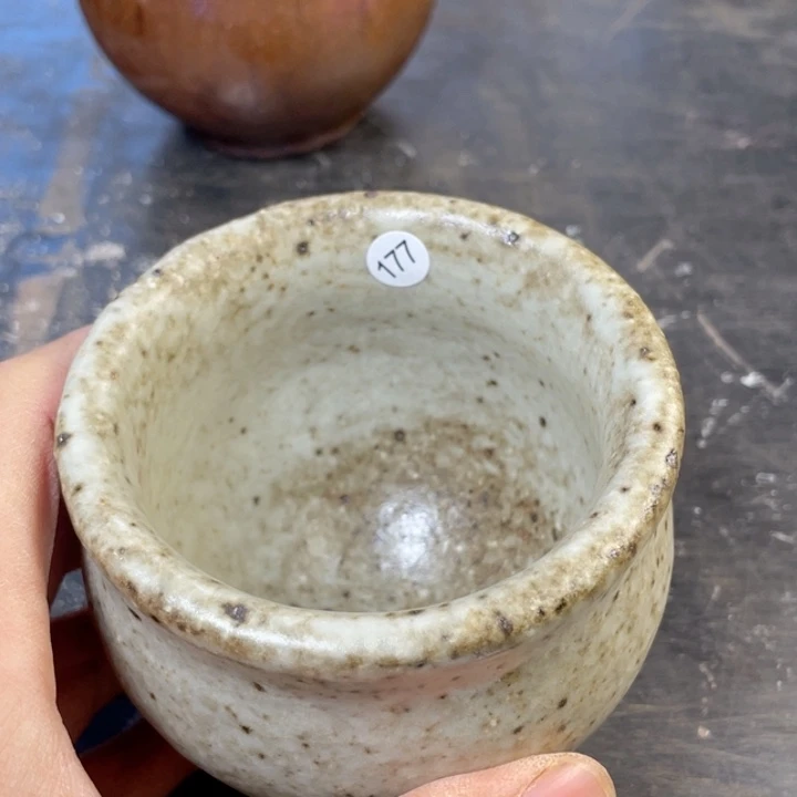 茶宠盏盏灯都是我的爱啊我