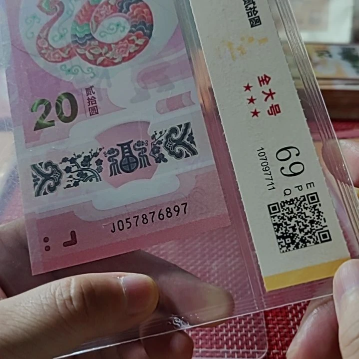 塑料小蛇钞飞马王57876897评级