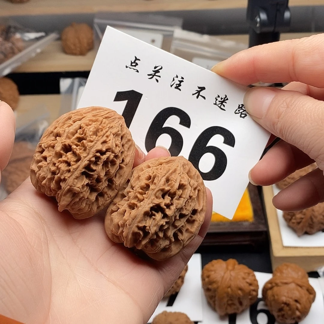 核桃38九龙筋。