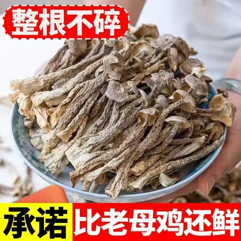 【助农山货】鹿茸菇山货鹿茸菇当季新货无硫无添加