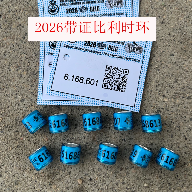 2026年2025年比利时环 荷兰环 足环